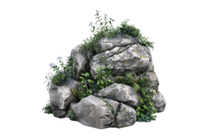 A rock with plants growing on it png