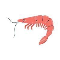 Cute shrimp on white. Character in children's style. Isolated illustration. vector