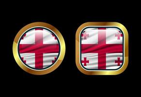 Glossy flag button of Georgia, High quality web button design vector
