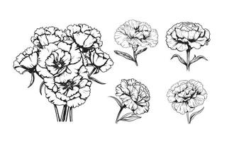 Carnation, flowers and leaves set, sketch illustration, hand drawn, black outline vector