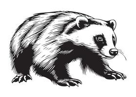 badger sketch graphics picture vector