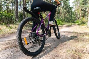 Bicycle parked on a forest trail, suggesting a perfect setting for mountain biking. The trail winds through dense trees, providing a scenic and adventurous backdrop. photo