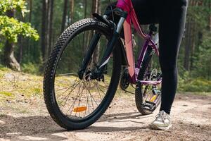 Bicycle parked on a forest trail, suggesting a perfect setting for mountain biking. The trail winds through dense trees, providing a scenic and adventurous backdrop. photo
