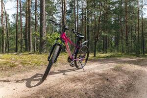 Bicycle parked on a forest trail, suggesting a perfect setting for mountain biking. The trail winds through dense trees, providing a scenic and adventurous backdrop. photo