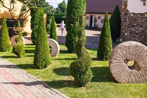 Well-kept garden with a variety of topiary shrubs and a decorative stone mill wheel. With a brick pathway leading into the center of the garden. The trees and shrubs have been carefully shaped. photo
