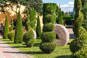 Well-kept garden with a variety of topiary shrubs and a decorative stone mill wheel. With a brick pathway leading into the center of the garden. The trees and shrubs have been carefully shaped. photo