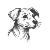 Elegant Hand Drawn Dog Sketch in Minimalist Style vector