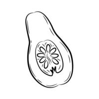 Half of pumpkin with seeds outline on white background. illustration clipart. Hand-drawn sketch. vector