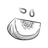 Piece of pumpkin, seeds outline on white background. Hand-drawn sketch. vector