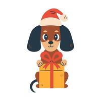 Dachshund Dog with Christmas Gift vector