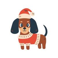 Dachshund Dog in Christmas Sweater and Santa Hat vector
