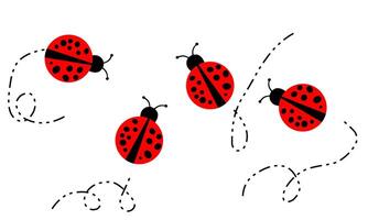 .ladybug. dotted or polka dot pattern. Let spring begin. ladybug sign represents protection, resistance, and prosperity, but also symbol of senseless violence. on white background vector
