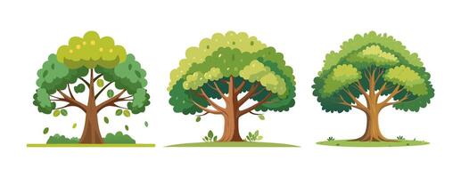 A large tree with branches vector