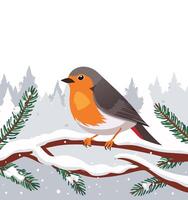 robins perched on snowy branches vector