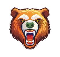 A bear with furrowed brows and bared teeth vector
