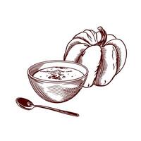Pumpkin soup in a plate, pumpkin vegetable, spoon. Illustration in graphic style. For labels, cafe menu design, posters, banners. vector