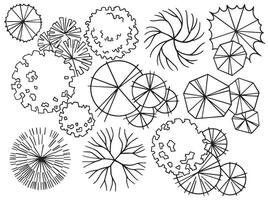 set of trees, hand drawing, top view. architectural ink drawing vector