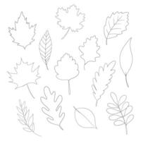 Autumn leaves different type and size outline for coloring on a white background vector