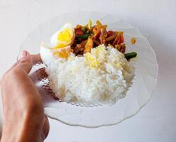 a plate of rice, boiled eggs and side dishes of vegetables to gain weight. isolate on white photo