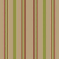 Vertical lines stripe pattern. stripes background fabric texture. Geometric striped line seamless abstract design. vector