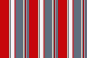 Vertical stripes seamless pattern. Lines abstract design. Stripe texture suitable fashion textiles. vector