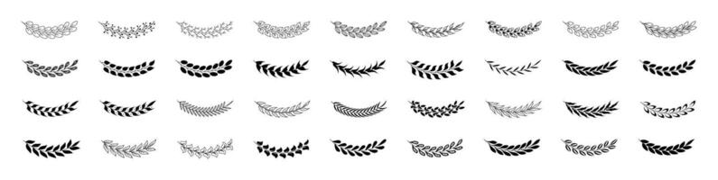Leaf branch wreath laurels set. Hand drawn flat style leaf. Flourish branch, laurel flower for border, divider design element. Frame, border, ornament design, award, achievement, heraldry, emblem vector