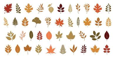 Set of autumn leaves isolated. Colorful flat illustration. Collection of silhouettes of autumn leaves in warm colors. dry maple and berries illustration. fall icon set vector