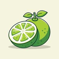 Slice And Whole Of Lime Cartoon Illustration. Fresh Lime Fruit Flat Icon Outline vector