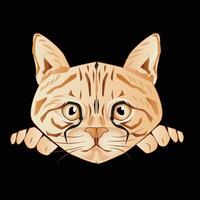 Cat Head and expression vector
