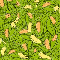 hand draw pattern with manggo and leaves. illustration vector