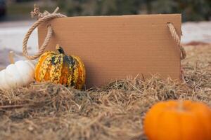 Autumn harvest display with pumpkins and a wooden box on a hay-covered ground in a field photo