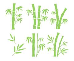 Bamboo trunks segments with branches and leaves set. Flat green illustration isolated on white background. Bamboo plant. Bamboo forest, organic leaf. vector