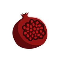 Minimalist pomegranate illustration with red color. vector
