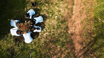 Aerial view of volunteers participate in nurturing the ecosystem, planting trees, raising sprouts and tidy up surroundings. Eco friendly activists maintaining the natural forest habitat. Camera A. photo