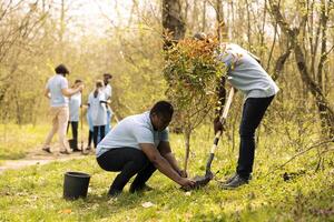 Volunteers group doing community service to plant more trees, covering holes in the ground with seedlings. Contributing to reforestation activity, cultivating consciousness in unity. photo