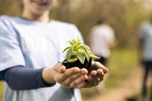 Little girl holding small grown tree seed with soil in her hands, fighting to protect the natural forest ecosystem. Small child activist fixing pollution and conserving nature by planting more trees. photo