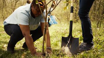 Volunteers filling up holes after planting trees around the forest, contributing to environmental protection and restore nature. Activists social team growing seeds in the woods habitat. Camera B. photo