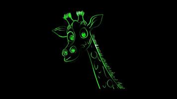 Neon frame effect, Giraffe on black background video