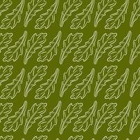 Seamless pattern of arugula lettuce leaf on green background. Hand drawn botanical design for restaurant menu, package, wallpaper. Healthy eating. vector