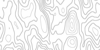 abstract pattern with lines. background of the topographic map. elevation contouring outline cartography texture. geographic abstract grid. futuristic wireframe landscape background. vector