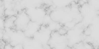 marble granite white panorama background. abstract light elegant black do floor, ceramic texture stone slab. marble texture background with high resolution. vector