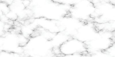 marble granite white panorama background. abstract light elegant black do floor, ceramic texture stone slab. marble texture background with high resolution. vector