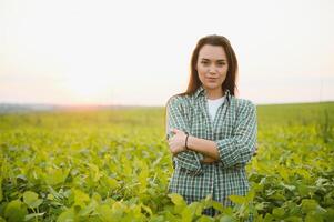 A female farmer in soybean field photo