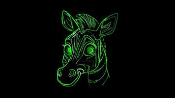 Neon frame effect, Zebra on black background video