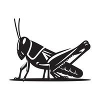 Silhouette of a grasshopper. vector
