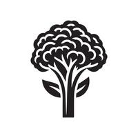 Neat and clean coliflower silhouette. vector
