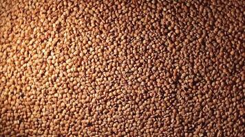 Dry Uncooked Brown Buckwheat Groats, Rotating Background - Top View, Low Key Light. Raw Large Buckwheat Grains. Russian, Ukrainian and Belarusian Culture. Rotation Right video