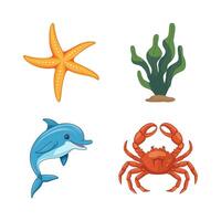 Dolphin, starfish, crab, and seaweed. Isolated on white background vector
