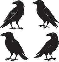 Elegant Black Crow Silhouette Design for Creative Projects and Artistic Expressions vector