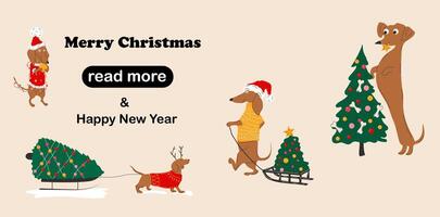Web page design template. Dachshunds dogs pulls a Christmas tree on a sleigh and decorate Christmas trees. vector